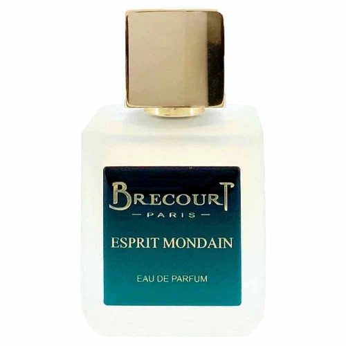 Парфумована вода Brecourt Esprit Mondain для чоловіків