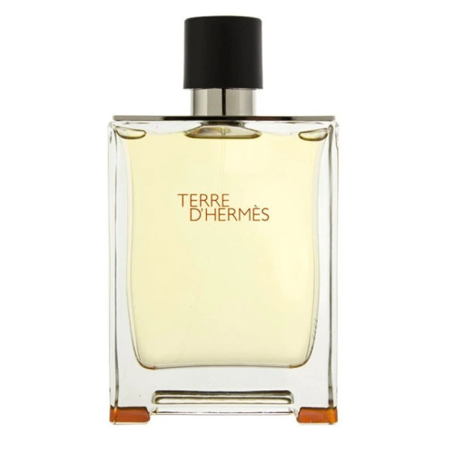Туалетная вода Hermes Terre d'Hermes Eau De Toilette для мужчин