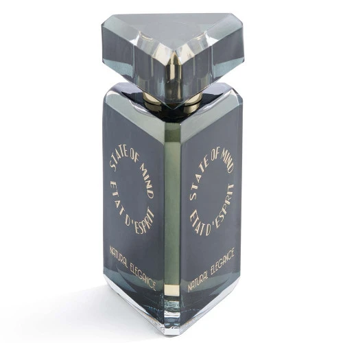 Парфумована вода State Of Mind Natural Elegance для чоловіків та жінок