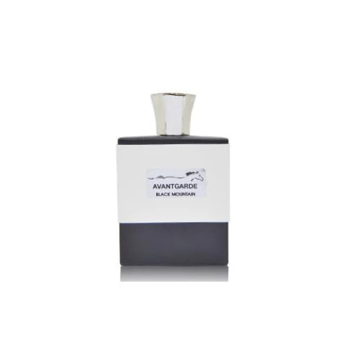 Парфумована вода My Perfumes Avantgarde Black Mountain для чоловіків