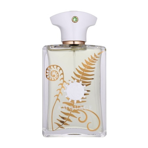Парфумована вода Amouage Bracken Man для чоловіків